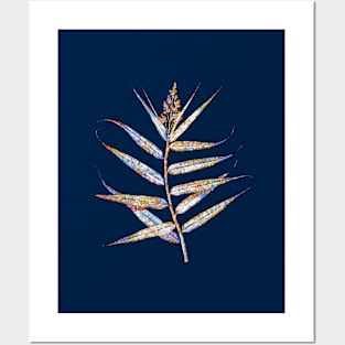 Stained Glass Bush Cane Botanical Illustration Posters and Art